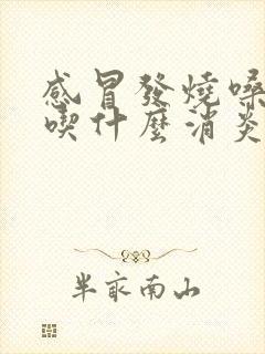 感冒发烧嗓子疼吃什么消炎药封面