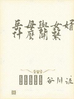 岳母与女婿是属什么关系封面