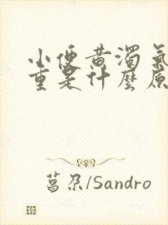 小便黄浊 气味重是什么原因