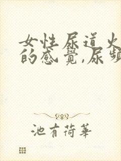 女性尿道火辣辣的感觉,尿频封面