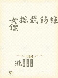 女总裁的绝密保镖