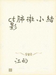 ct肺微小结节影封面