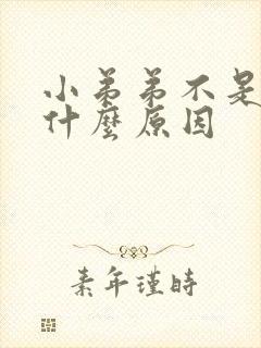 小弟弟不是很硬什么原因