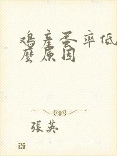 鸡产蛋率低是什么原因