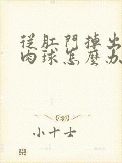 从肛门掉出来的肉球怎么办封面