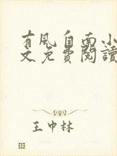 有风自南小说全文免费阅读封面