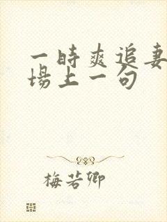 一时爽追妻火葬场上一句封面