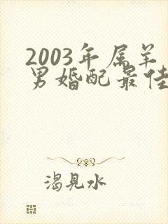 2003年属羊男婚配最佳属相