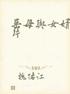 岳母与女婿的影片