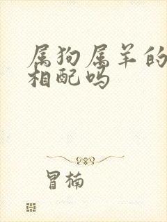 属狗属羊的婚姻相配吗