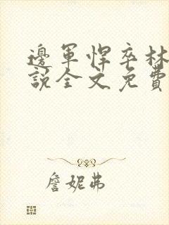 边军悍卒林丰小说全文免费阅读无弹窗