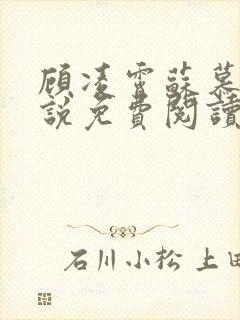 顾凌霄苏慕烟小说免费阅读最新章节