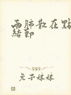 两肺散在点状微结节