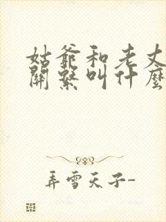 姑爷和老丈人的关系叫什么封面