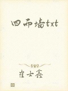四面墙txt