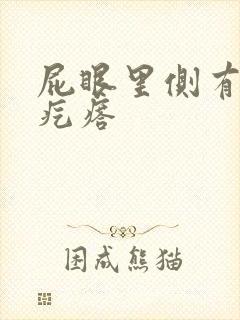 屁眼里侧有个硬疙瘩