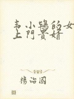 韦小鸨的女神的上门贵婿