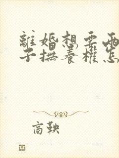 离婚想要两个孩子抚养权怎么判