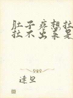 肚子疼想拉屎又拉不出来是什么原因