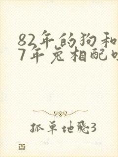 82年的狗和87年兔相配吗