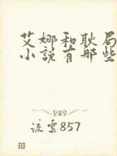 艾娜和耿局长的小说有哪些封面