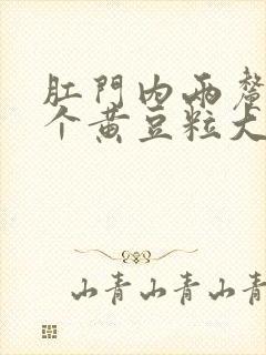 肛门内两厘米有个黄豆粒大的硬疙瘩