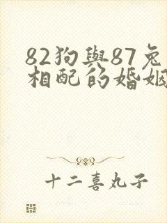 82狗与87兔相配的婚姻如何