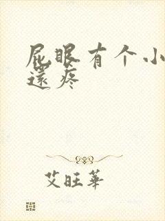 屁眼有个小肉球还疼封面