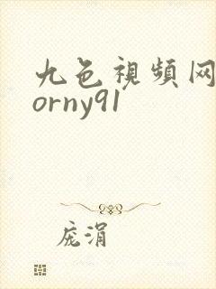 九色视频网站porny91封面