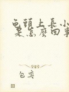 龟头上长小红点 是怎么回事封面