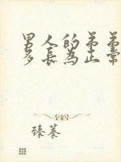 男人的弟弟一般多长为正常封面