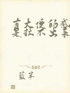 有大便的感觉但是拉不出来肚子疼封面