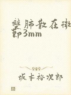 双肺散在微小结节3mm