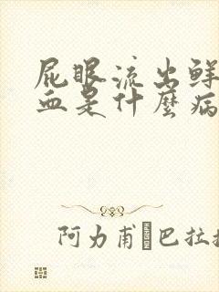 屁眼流出鲜红的血是什么病封面