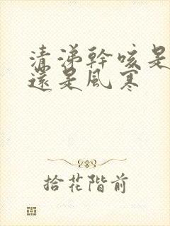 清涕干咳是风热还是风寒