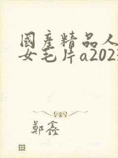 国产精品人妻熟女毛片a2023