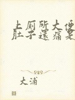 上厕所大便出血肚子还痛是什么原因