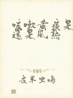 咳嗽黄痰是风寒还是风热