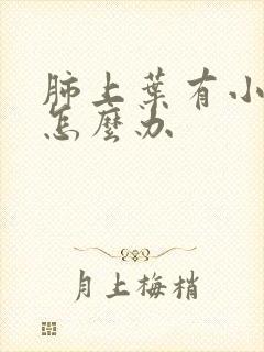 肺上叶有小结节怎么办封面