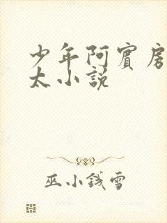 少年阿宾房东太太小说