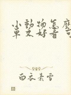 小动物怎么画简单又好看 可爱封面