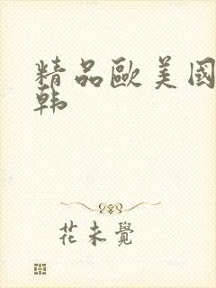 精品欧美国产日韩封面