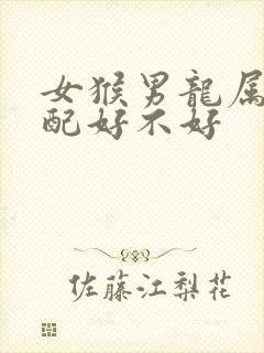 女猴男龙属相婚配好不好