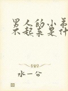 男人的小弟弟硬不起来是什么原因/