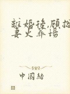 离婚后,顾总追妻火葬场封面