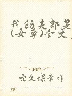 我的夫郎是弃夫(女尊)全文免费阅读封面