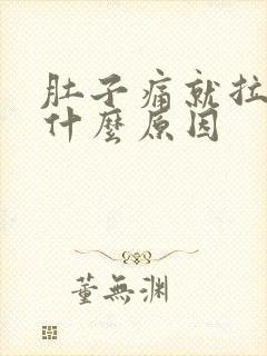 肚子痛就拉大便什么原因