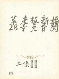 菜老板新婚妻子28章免费阅读最新章节