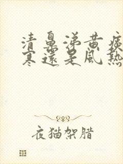 清鼻涕黄痰是风寒还是风热