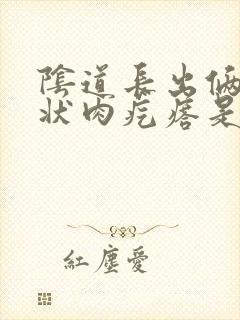 阴道长出俩乳头状肉疙瘩是怎么了